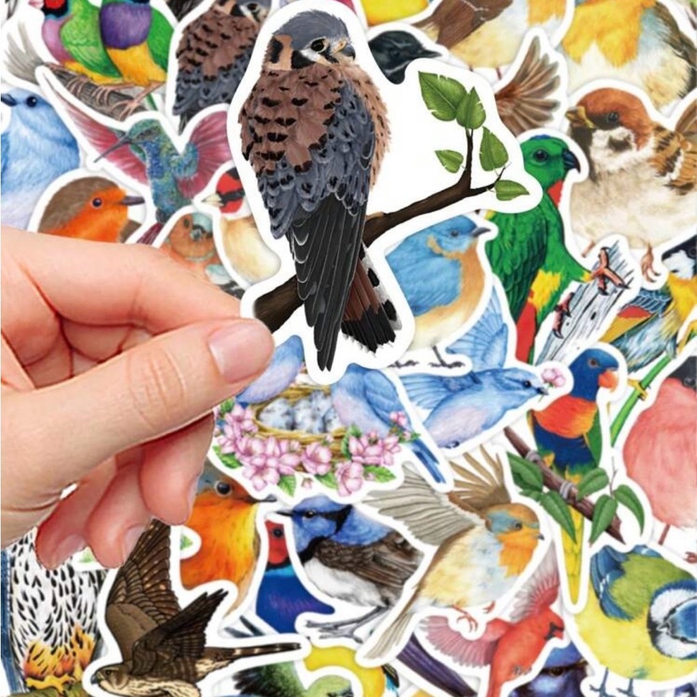 50 Colorful Bird Stickers - Picture 7 of 9